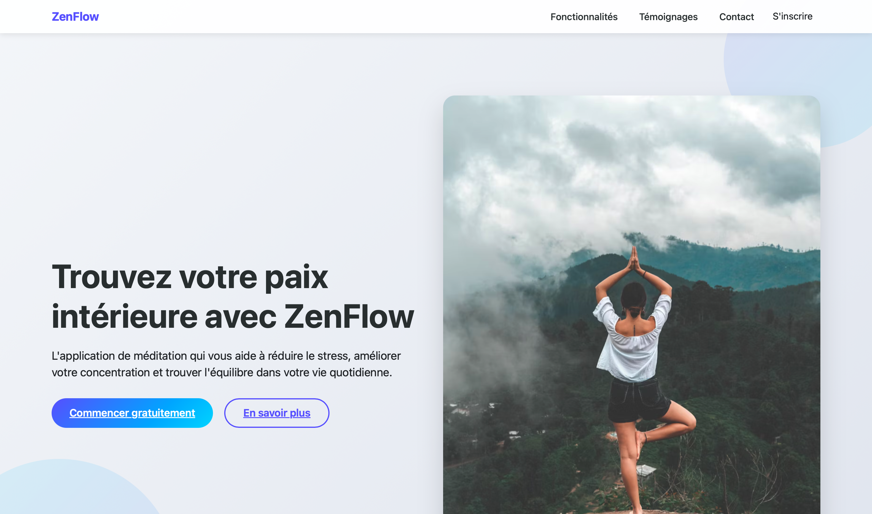 ZenFlow